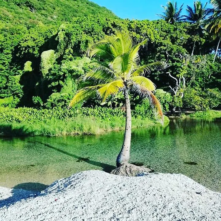 Dona Cornelia Hotel Los Patos Dominican Republic